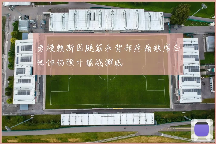 劳模赖斯因腿筋和背部疼痛缺席合练但仍预计能战挪威