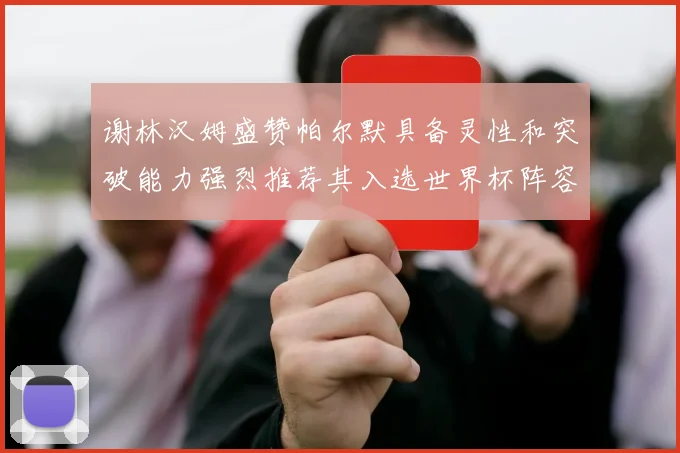 谢林汉姆盛赞帕尔默具备灵性和突破能力强烈推荐其入选世界杯阵容
