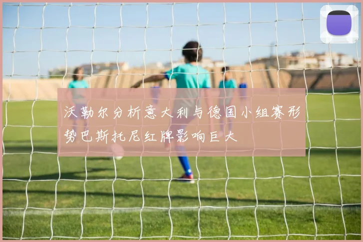 沃勒尔分析意大利与德国小组赛形势巴斯托尼红牌影响巨大